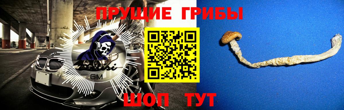 Галлюциногенные грибы мухоморы Канск