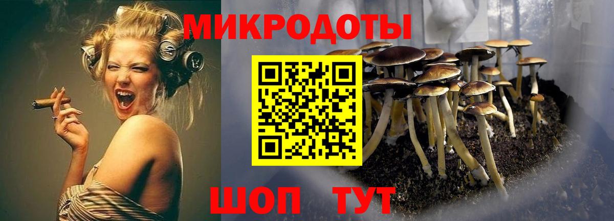 Канск  Псилоцибиновые грибы ЛСД  Вход с VPN  наркошоп  Псилоцибиновые грибы Cubensis 